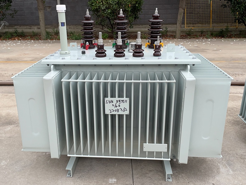11kV 3 Phase Oil Immersed Distribution Transformer